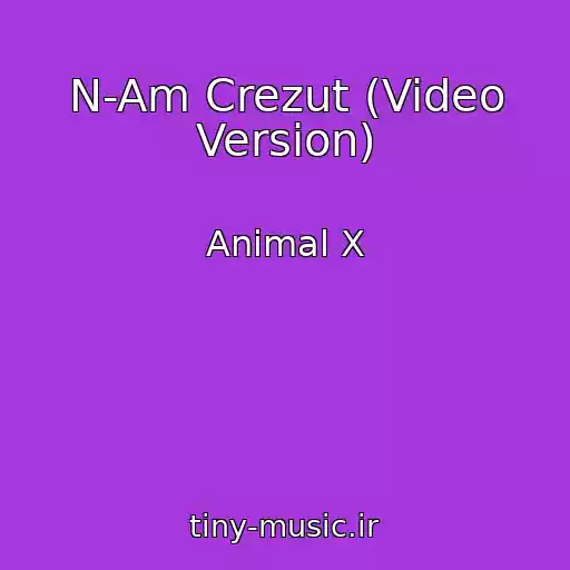 کاور آهنگ N-Am Crezut (Video Version) از Animal X