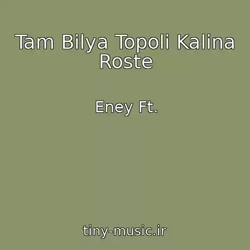کاور آهنگ Tam Bіlya Topolі Kalina Roste از Eney Ft.