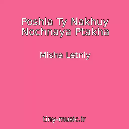 کاور آهنگ Poshla Ty Nakhuy Nochnaya Ptakha از Misha Letniy