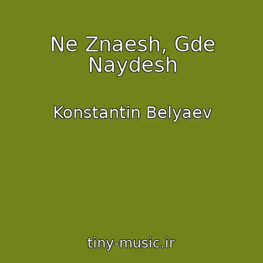 کاور آهنگ Ne Znaesh, Gde Naydesh از Konstantin Belyaev
