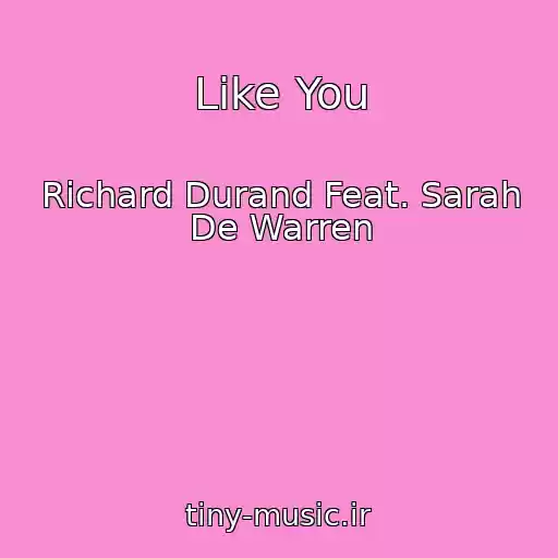 کاور آهنگ Like You از Richard Durand Feat. Sarah De Warren