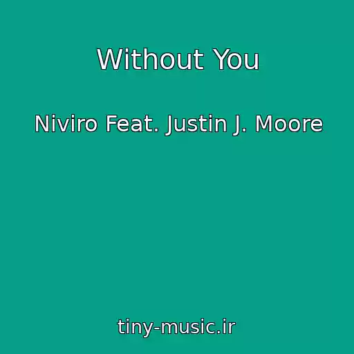 کاور آهنگ Without You از Niviro Feat. Justin J. Moore