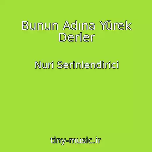کاور آهنگ Bunun Adına Yürek Derler از Nuri Serinlendirici