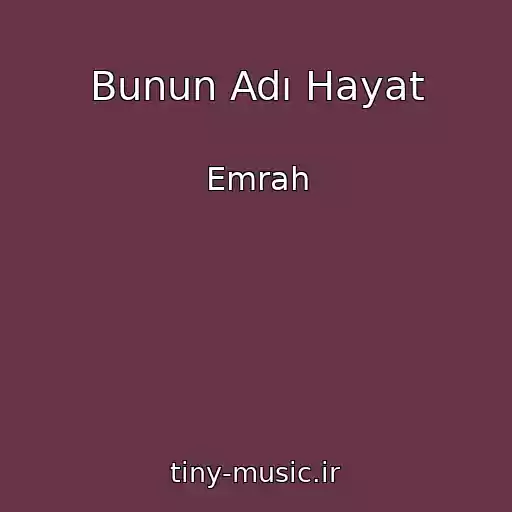 کاور آهنگ Bunun Adı Hayat از Emrah