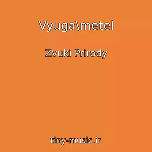 کاور آهنگ Vyuga\metel از Zvuki Prirody