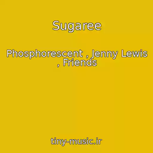 کاور آهنگ Sugaree از Phosphorescent , Jenny Lewis , Friends