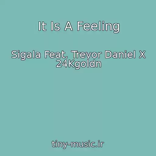 کاور آهنگ It Is A Feeling از Sigala Feat. Trevor Daniel X 24Kgoldn