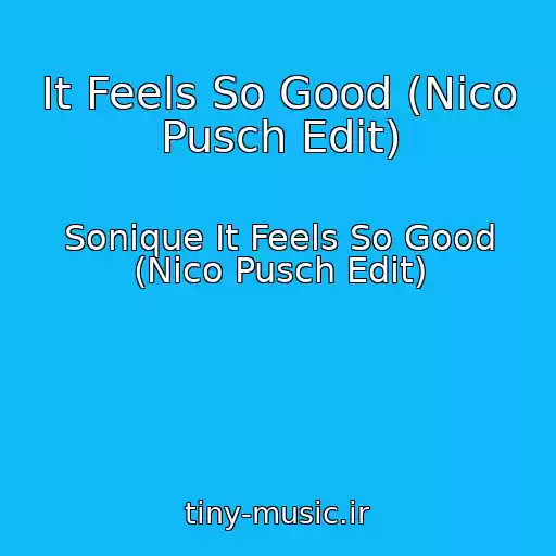 کاور آهنگ It Feels So Good (Nico Pusch Edit) از Sonique It Feels So Good (Nico Pusch Edit)