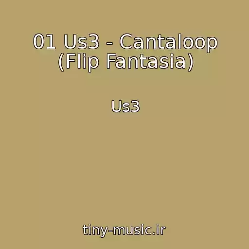 کاور آهنگ 01 Us3 - Cantaloop (Flip Fantasia) از Us3