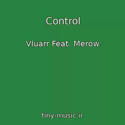 کاور آهنگ Control از Vluarr Feat. Merow