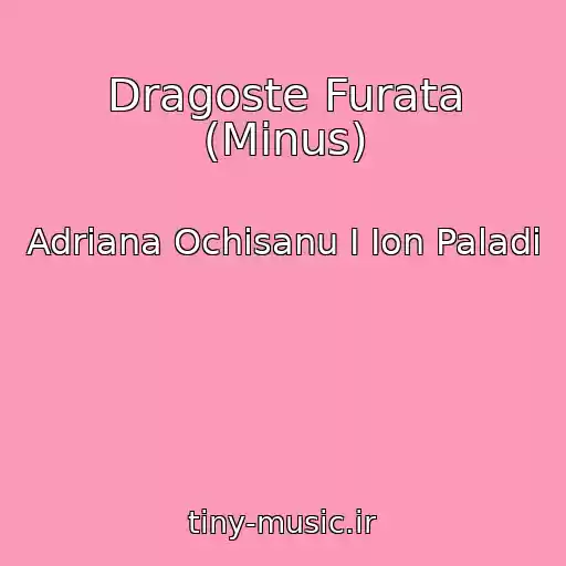 کاور آهنگ Dragoste Furata (Minus) از Adriana Ochisanu I Ion Paladi