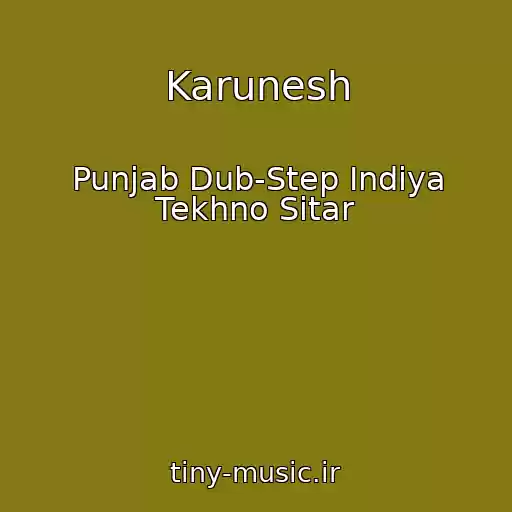 کاور آهنگ Karunesh از Punjab Dub-Step Indiya Tekhno Sitar
