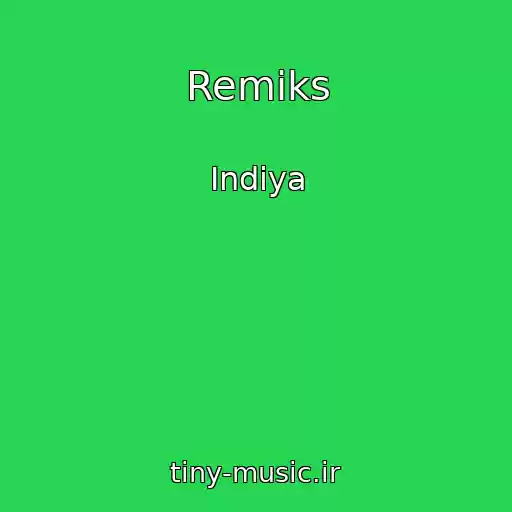 کاور آهنگ Remiks از Indiya