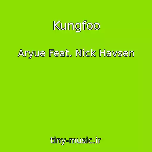 کاور آهنگ Kungfoo از Aryue Feat. Nick Havsen