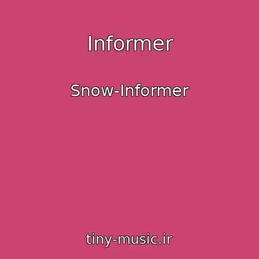 کاور آهنگ Informer از Snow-Informer