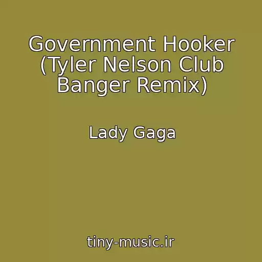 کاور آهنگ Government Hooker (Tyler Nelson Club Banger Remix) از Lady Gaga