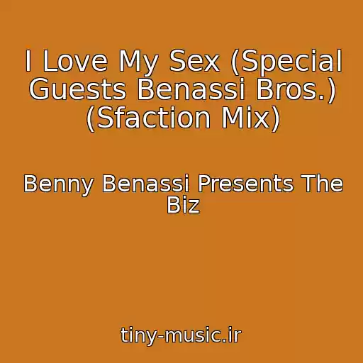 کاور آهنگ I Love My Sex (Special Guests Benassi Bros.) (Sfaction Mix) از Benny Benassi Presents The Biz