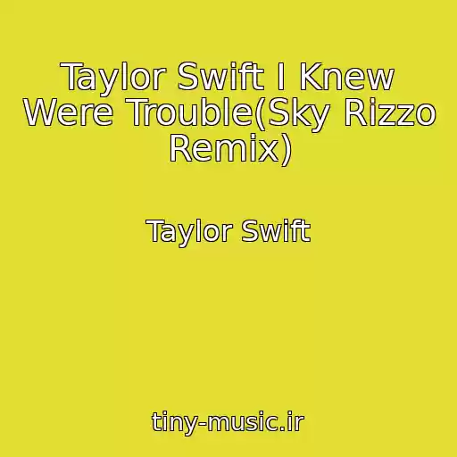کاور آهنگ Taylor Swift I Knew Were Trouble(Sky Rizzo Remix) از Taylor Swift
