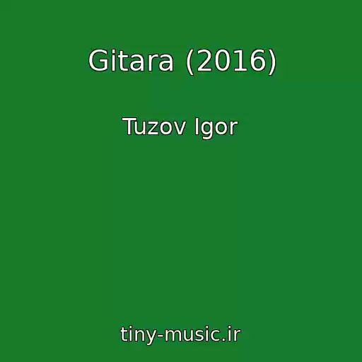 کاور آهنگ Gitara (2016) از Tuzov Igor