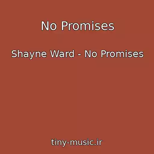 کاور آهنگ No Promises از Shayne Ward - No Promises