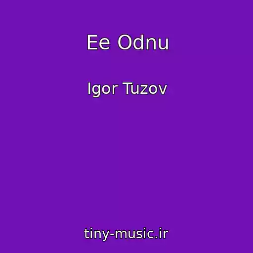 کاور آهنگ Ee Odnu از Igor Tuzov