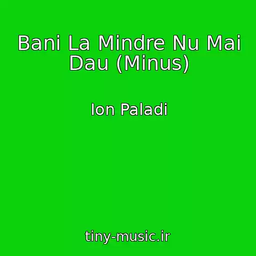 کاور آهنگ Bani La Mindre Nu Mai Dau (Minus) از Ion Paladi