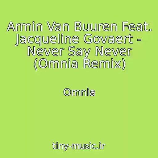 کاور آهنگ Armin Van Buuren Feat. Jacqueline Govaert - Never Say Never (Omnia Remix) از Omnia