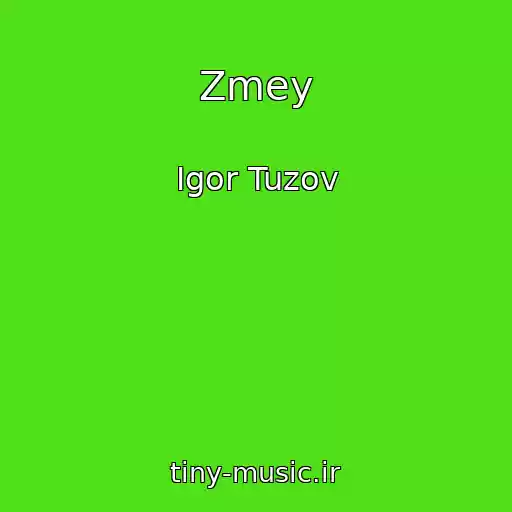 کاور آهنگ Zmey از Igor Tuzov