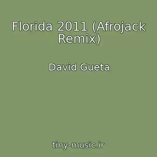 کاور آهنگ Florida 2011 (Afrojack Remix) از David Gueta