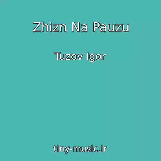 کاور آهنگ Zhizn Na Pauzu از Tuzov Igor