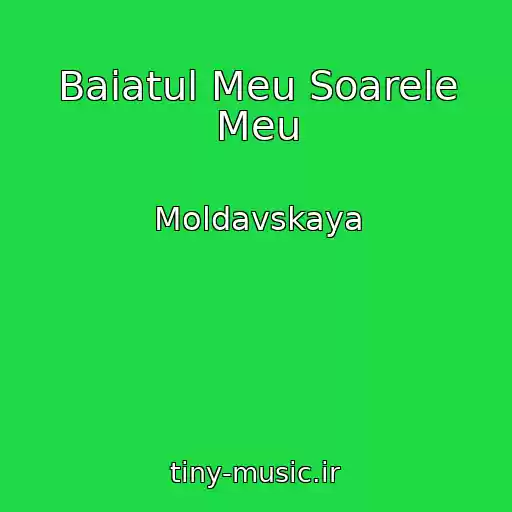 کاور آهنگ Baiatul Meu Soarele Meu از Moldavskaya