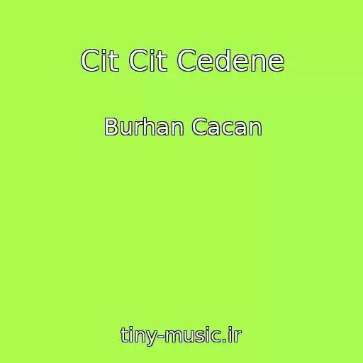 کاور آهنگ Cit Cit Cedene از Burhan Cacan