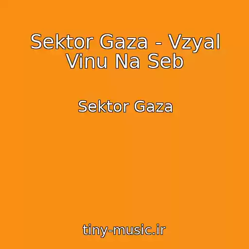 کاور آهنگ Sektor Gaza - Vzyal Vinu Na Seb از Sektor Gaza