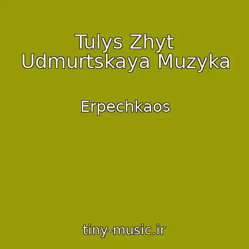 کاور آهنگ Tulys Zhyt Udmurtskaya Muzyka از Erpechkaos