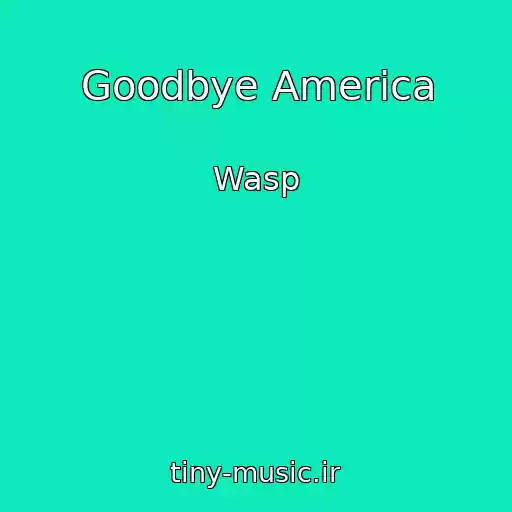کاور آهنگ Goodbye America از Wasp