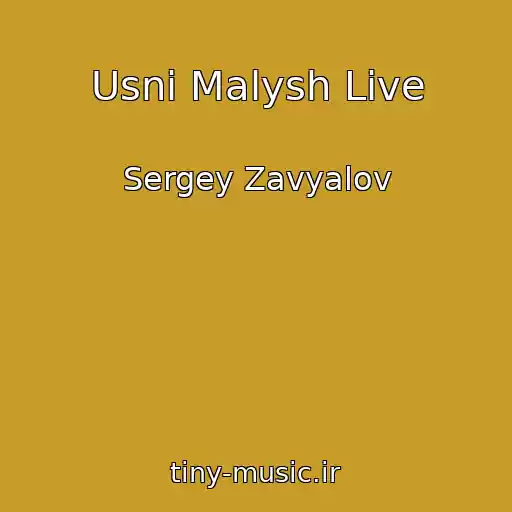 کاور آهنگ Usni Malysh Live از Sergey Zavyalov
