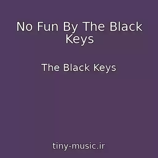 کاور آهنگ No Fun By The Black Keys از The Black Keys