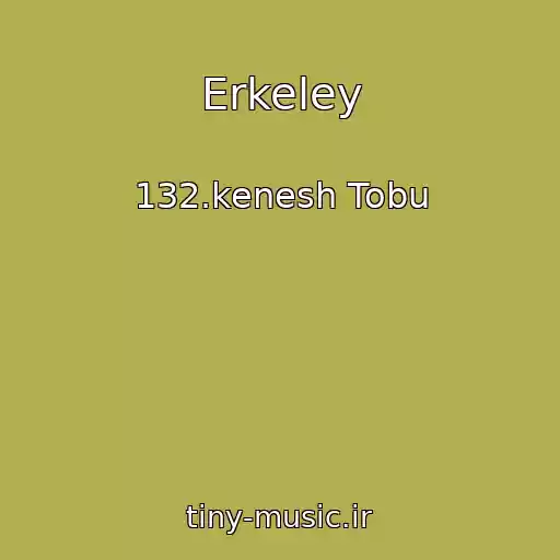 کاور آهنگ Erkeley از 132.kenesh Tobu