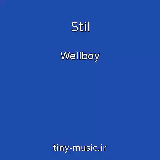 کاور آهنگ Stil از Wellboy