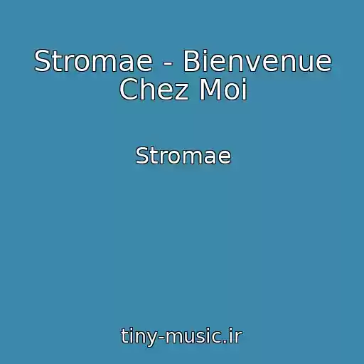 کاور آهنگ Stromae - Bienvenue Chez Moi از Stromae