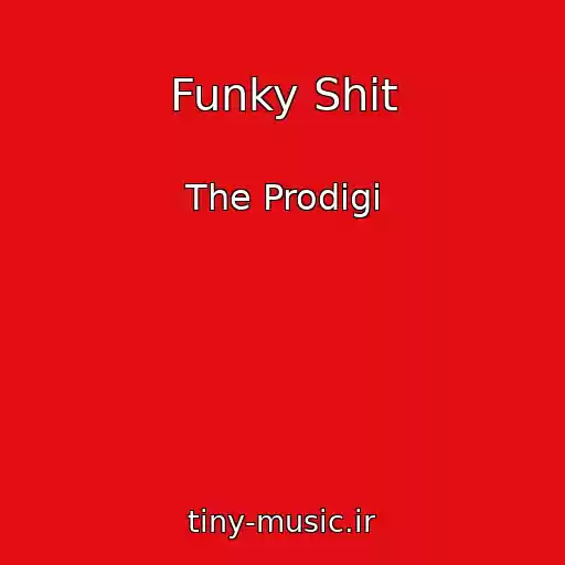 کاور آهنگ Funky Shit از The Prodigi