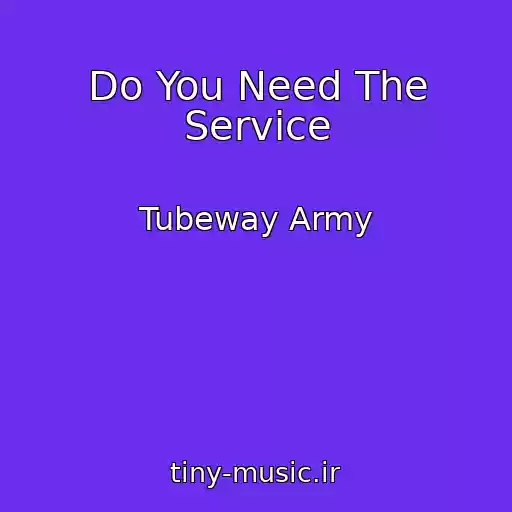 کاور آهنگ Do You Need The Service از Tubeway Army