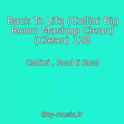 کاور آهنگ Back To Life (Collini Big Room Mashup Clean) (Clean) 128 از Collini , Soul Ii Soul