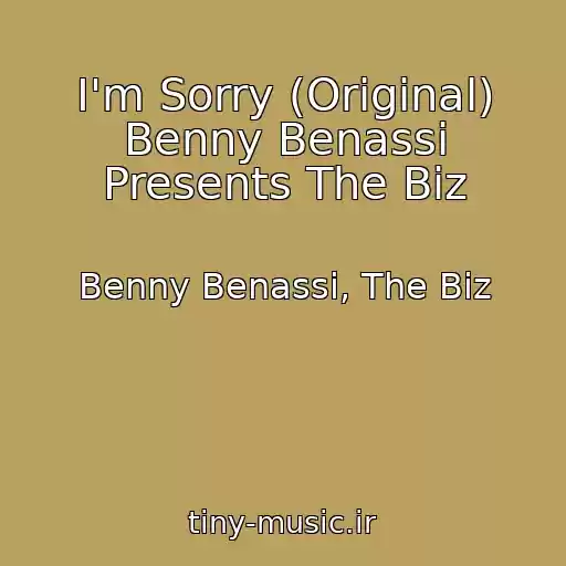 کاور آهنگ I'm Sorry (Original) Benny Benassi Presents The Biz از Benny Benassi, The Biz
