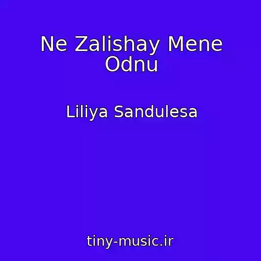 کاور آهنگ Ne Zalishay Mene Odnu از Lіlіya Sandulesa