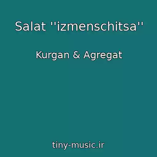 کاور آهنگ Salat ''izmenschitsa'' از Kurgan & Agregat