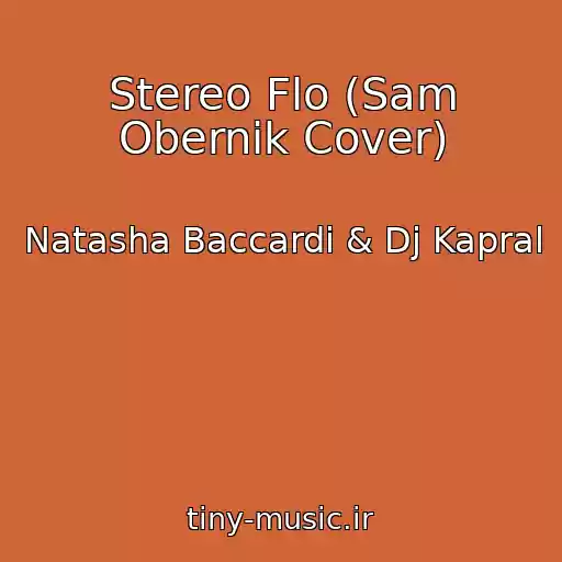 کاور آهنگ Stereo Flo (Sam Obernik Cover) از Natasha Baccardi & Dj Kapral