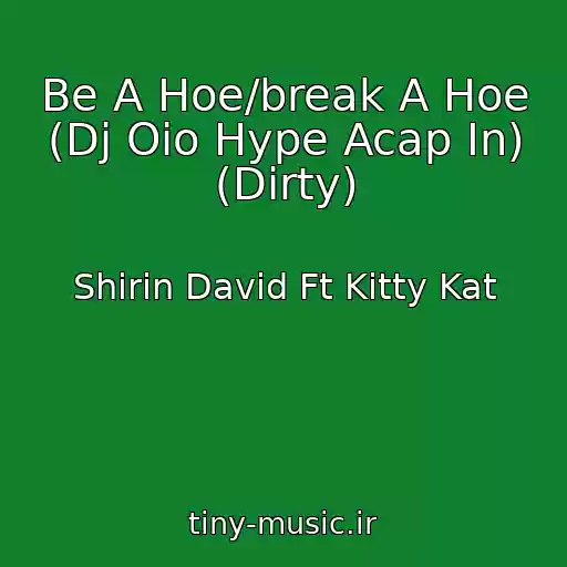 کاور آهنگ Be A Hoe/break A Hoe (Dj Oio Hype Acap In) (Dirty) از Shirin David Ft Kitty Kat