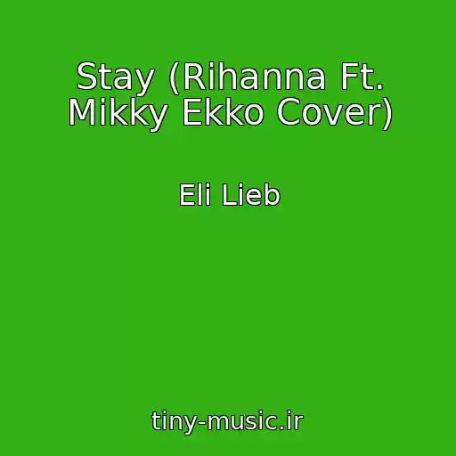 کاور آهنگ Stay (Rihanna Ft. Mikky Ekko Cover) از Eli Lieb