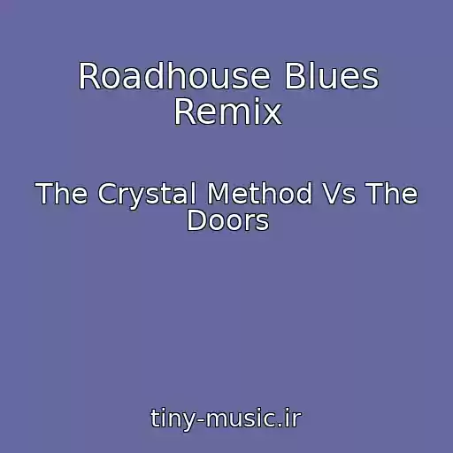 کاور آهنگ Roadhouse Blues Remix از The Crystal Method Vs The Doors